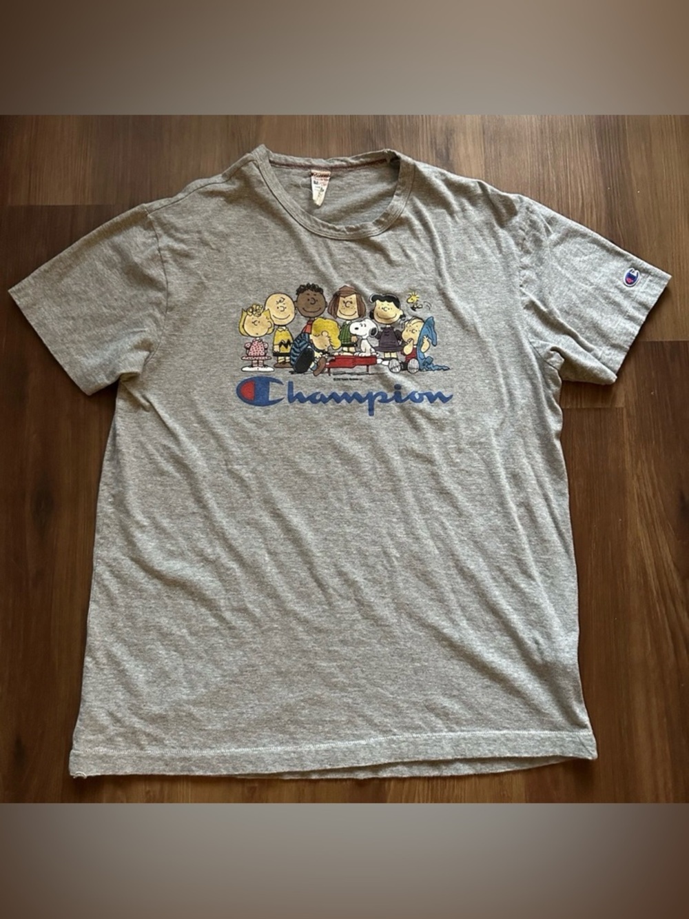 Champion x Todd Snyder Peanuts Snoopy Gray Crewneck T-shirt Size Large
